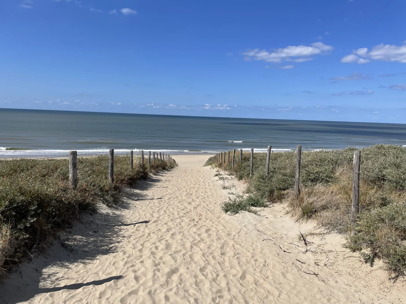 Een zandpad door de duinen naar de zee