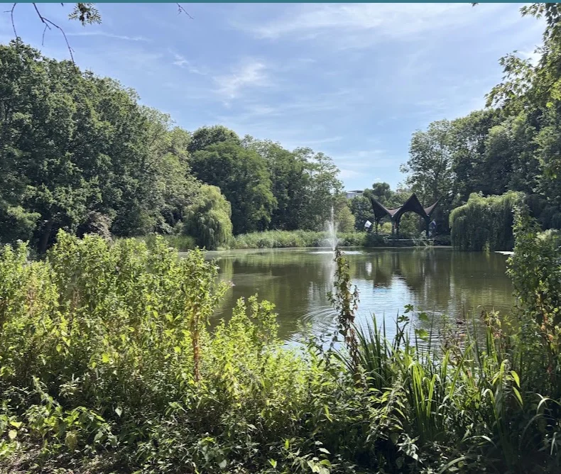 Vijver in de Leidse Hout