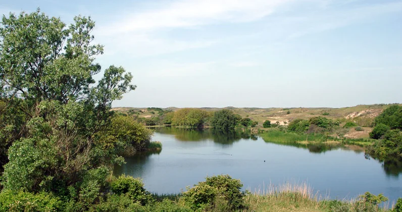 Duinlandschap in Meijendel